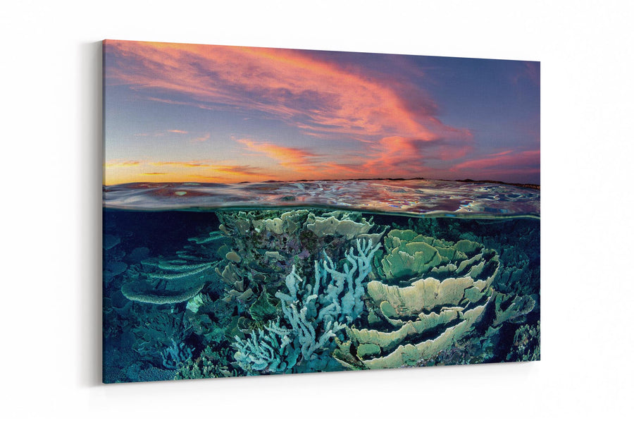 Sunset Over The Coral Gardens | Ningaloo Reef – Jordan Robins Photography