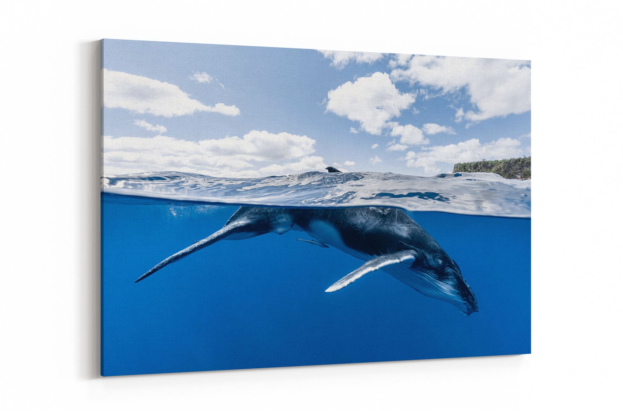 Beneath The Clouds Humpback Whale