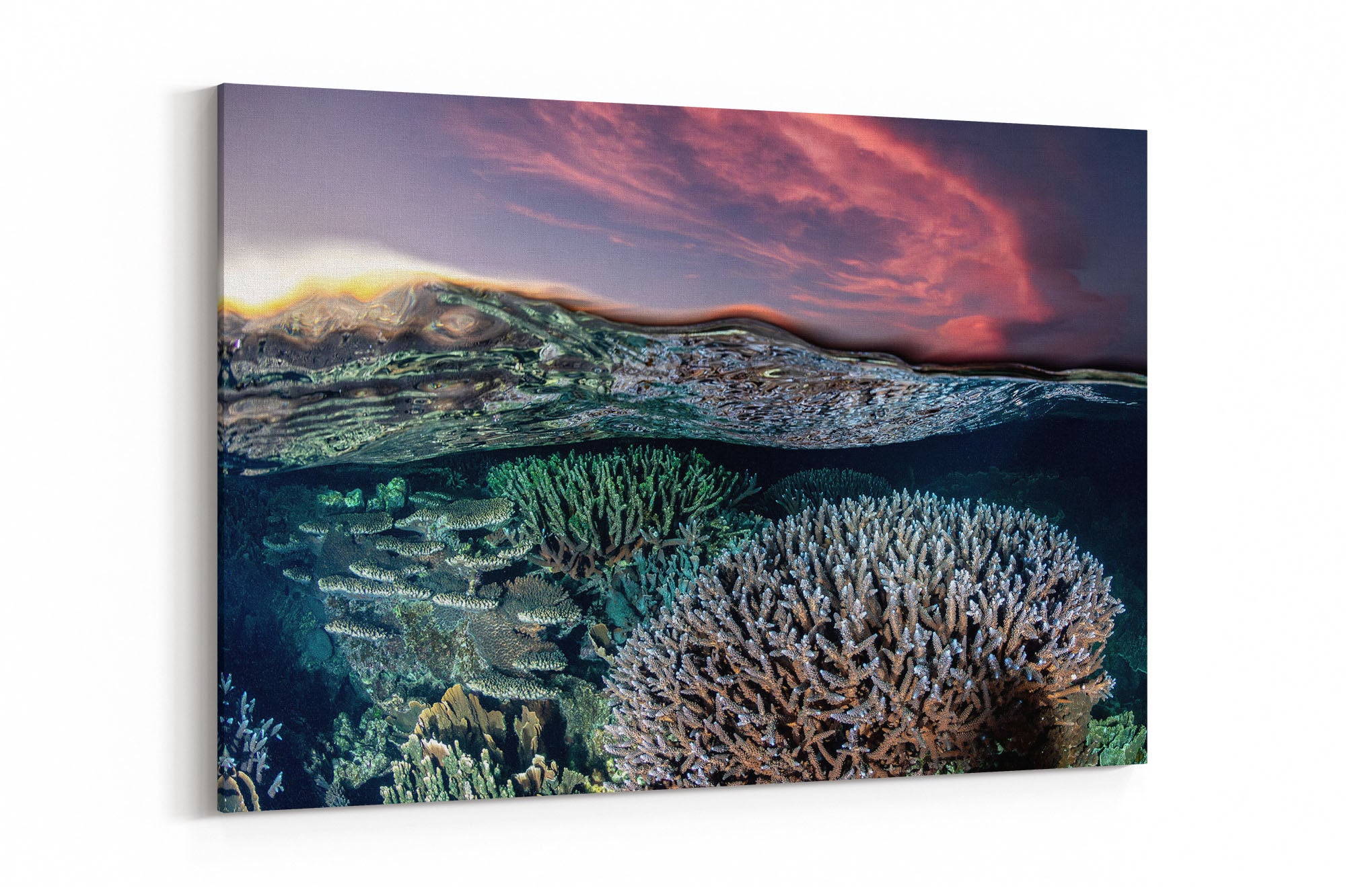 Coral Reef Sunset | Ningaloo Reef