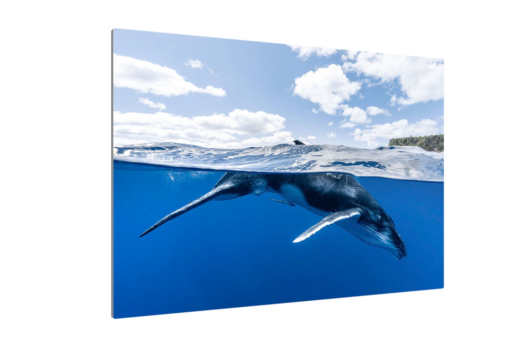 Beneath The Clouds Humpback Whale