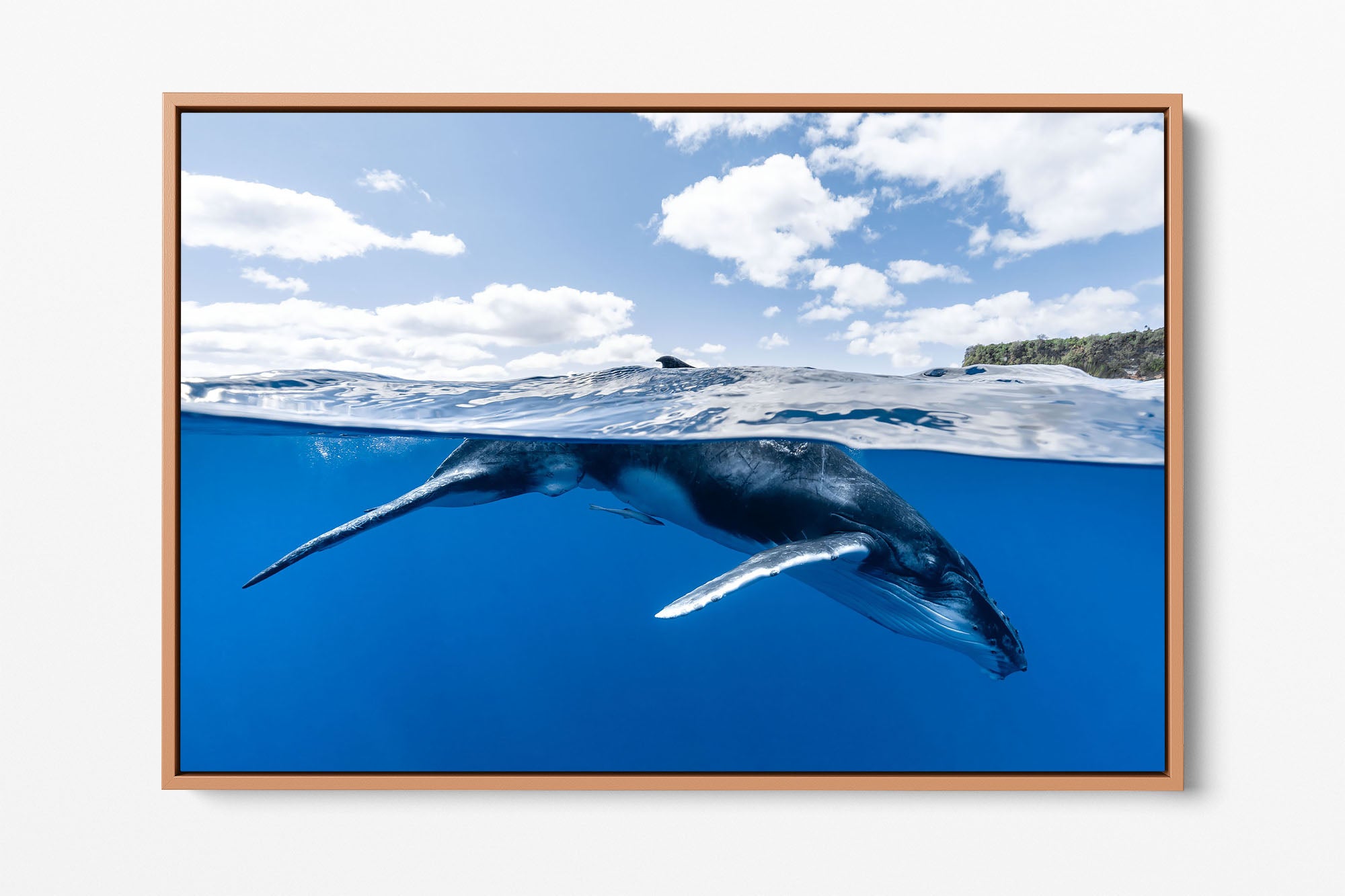 Beneath The Clouds Humpback Whale