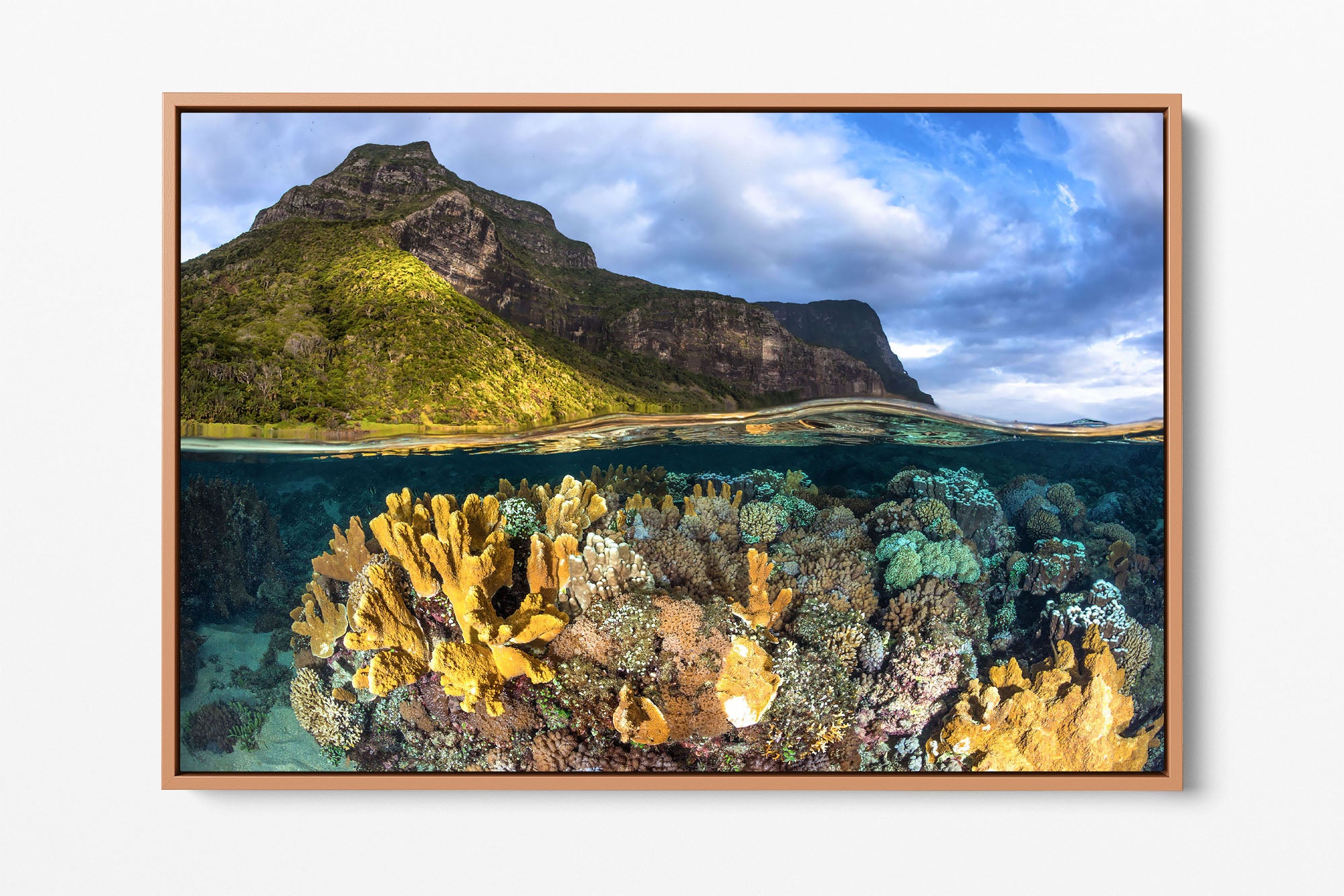 Coral Lagoon Lord Howe Island