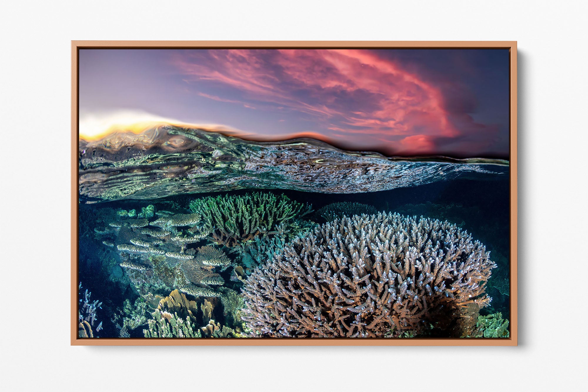 Coral Reef Sunset | Ningaloo Reef