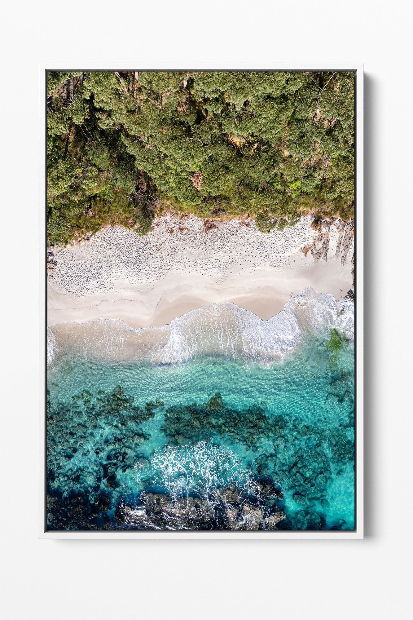 Trees to The Sea | Jervis Bay