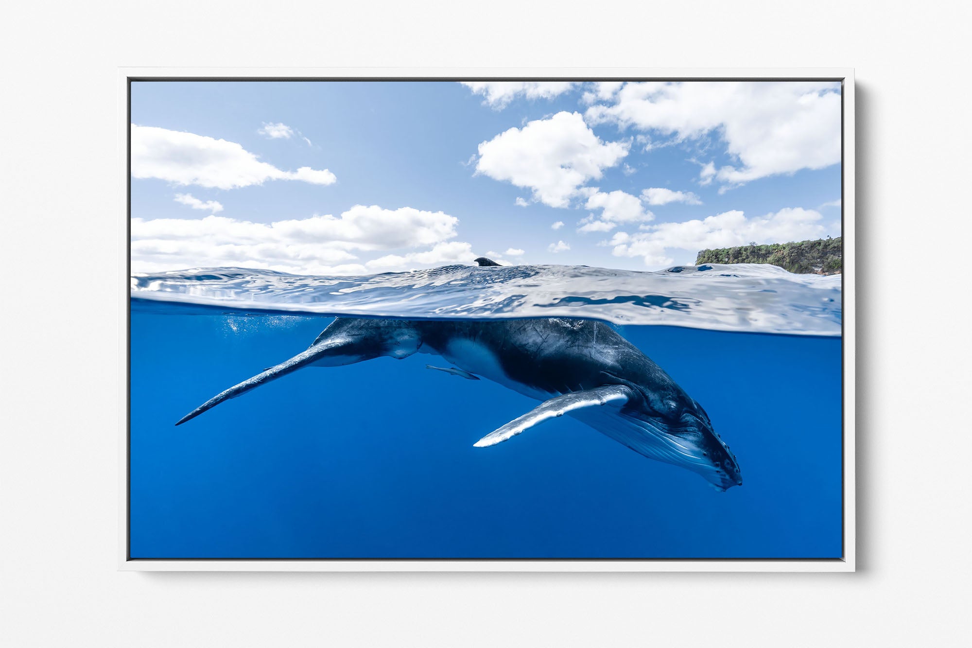 Beneath The Clouds Humpback Whale