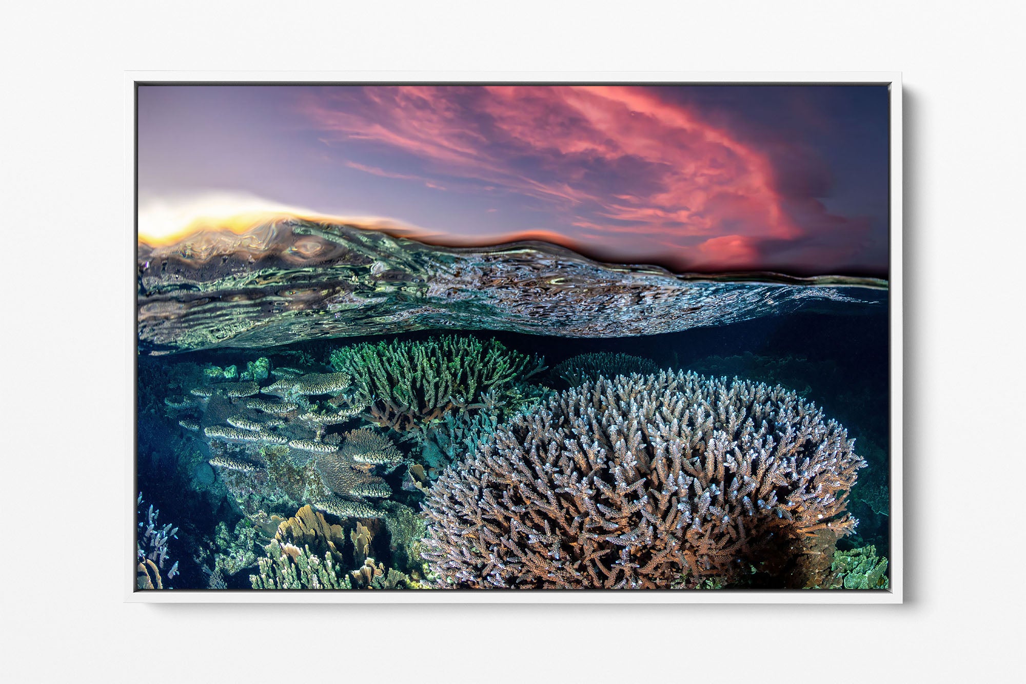 Coral Reef Sunset | Ningaloo Reef